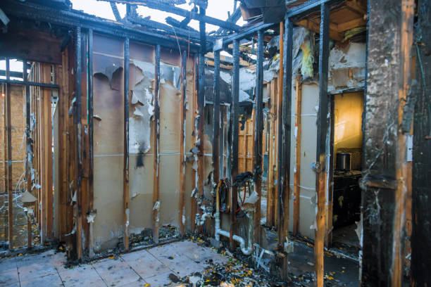 Professional Odor Removal technician working in Brookings, OR